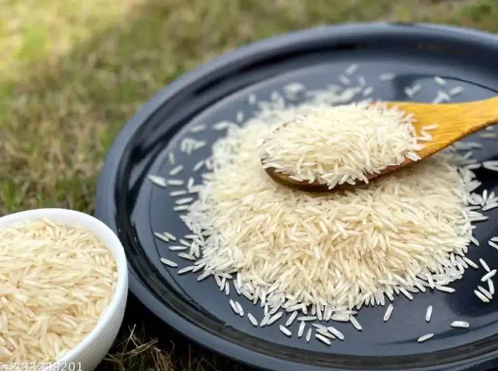 1121 Basmati Rice